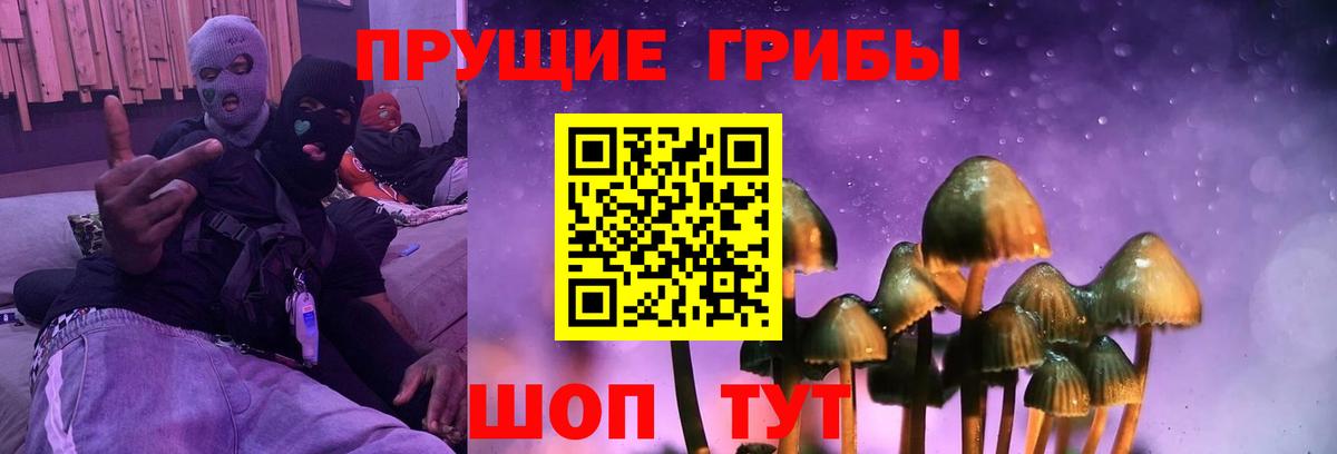Галлюциногенные грибы прущие грибы Когалым